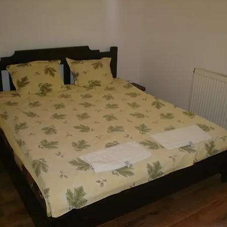 罗登克莱旅馆 4*