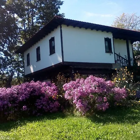 Pensión Complex Roden Kray Vlaychovtsi