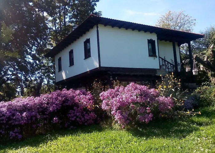 Къща за гости комплекс роден край Vlaychovtsi